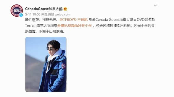 加拿大鹅(canada goose)陷“虚假宣传”风波 国际品牌为何屡屡被罚